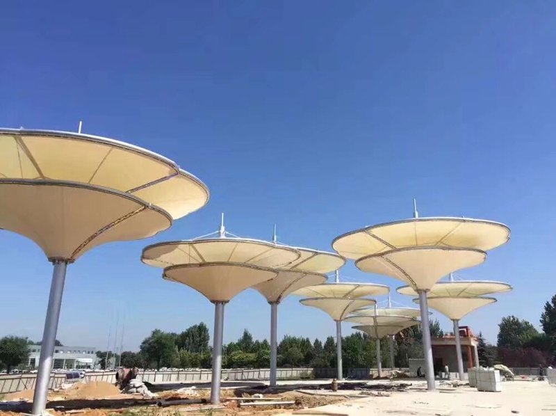 探秘郑州膜结构：建筑艺术与科技融合的新篇章